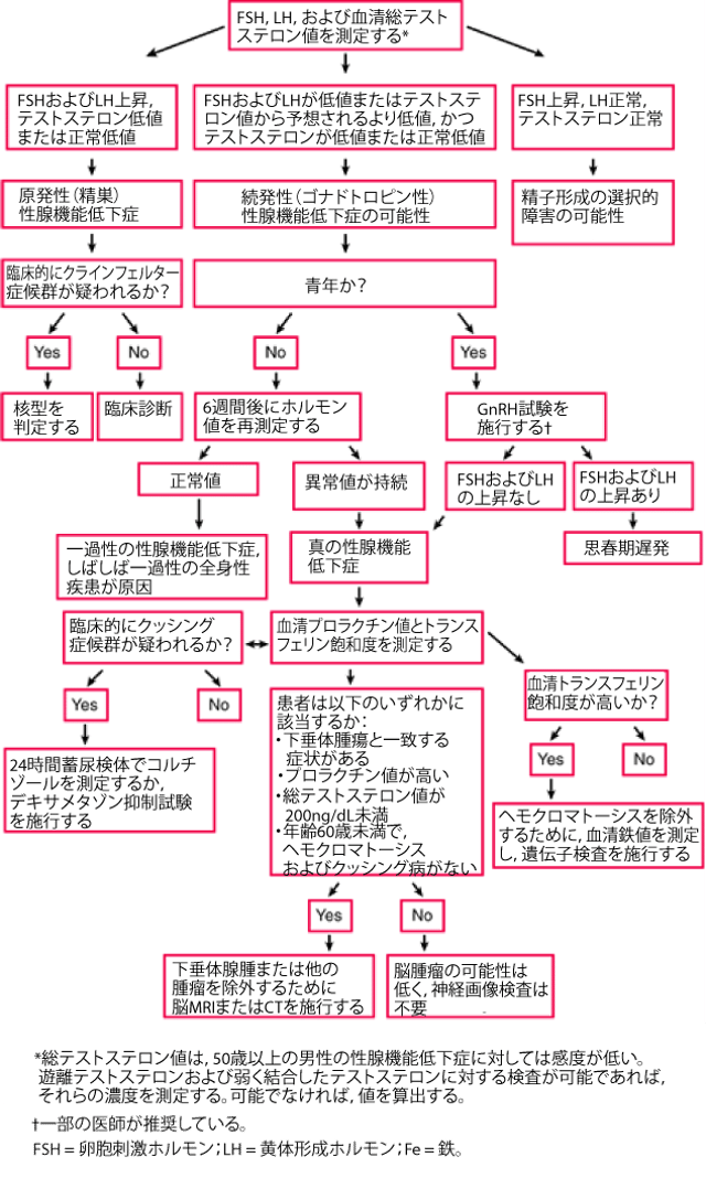 Image男性性腺機能低下症の臨床検査MSDマニュアル プロフェッショナル版