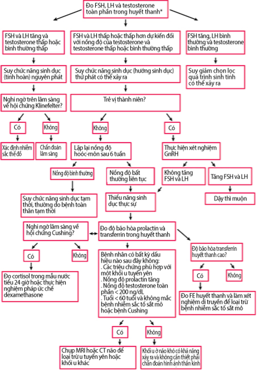 Đánh giá xét nghiệm về tình trạng suy sinh dục ở nam giới