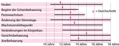 Pubertät - Entwicklung der männlichen Geschlechtsmerkmale
