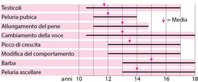 Pubertà, quando si sviluppano i caratteri sessuali maschili