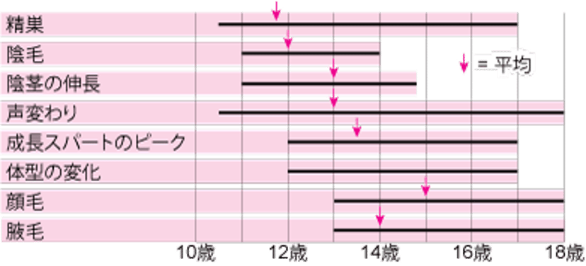 思春期―男性の性徴がみられる時期