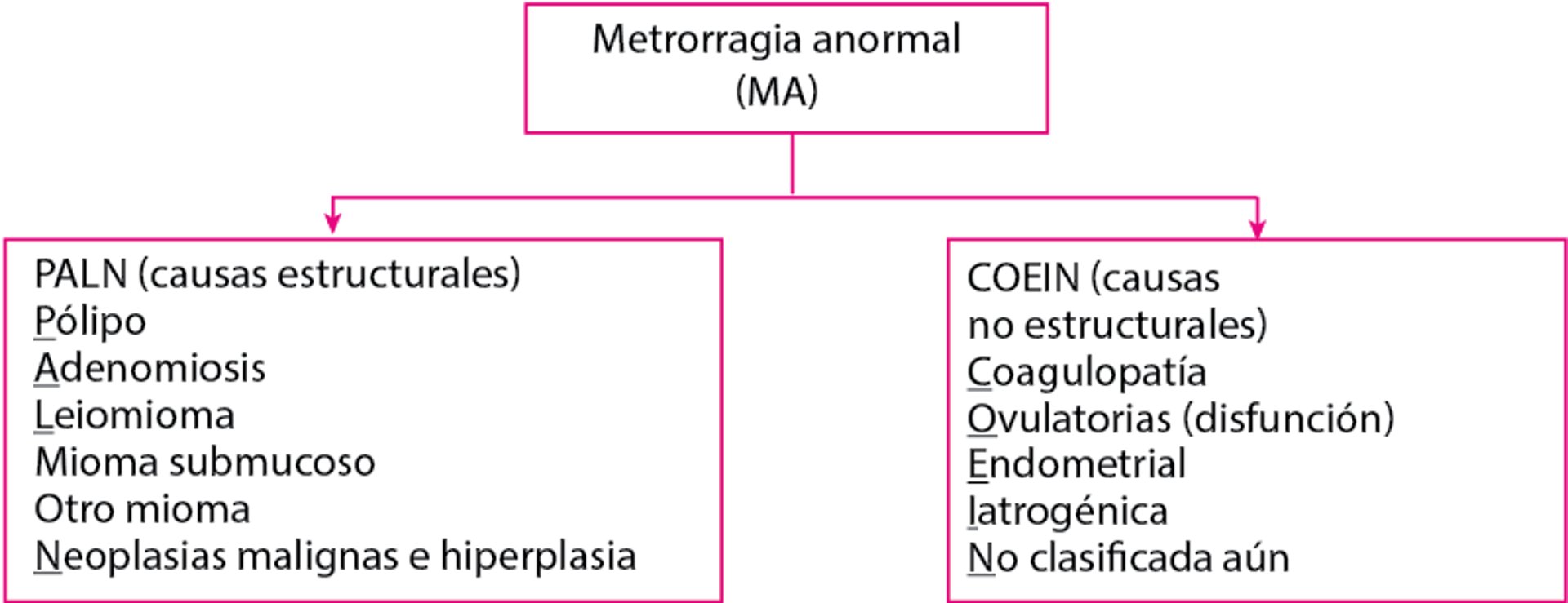 Sistema de clasificación PALM-COEIN