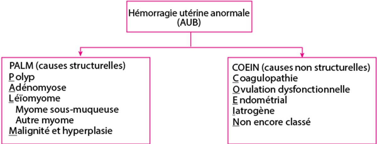Système de classification PALM-COEIN