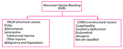 PALM-COEIN classification system