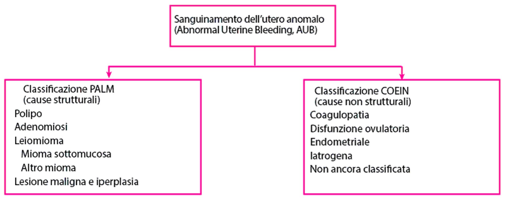 Sistema di classificazione PALM-COEIN