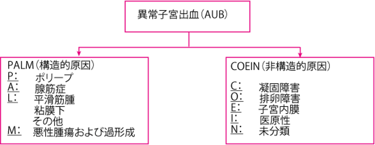 PALM-COEIN分類