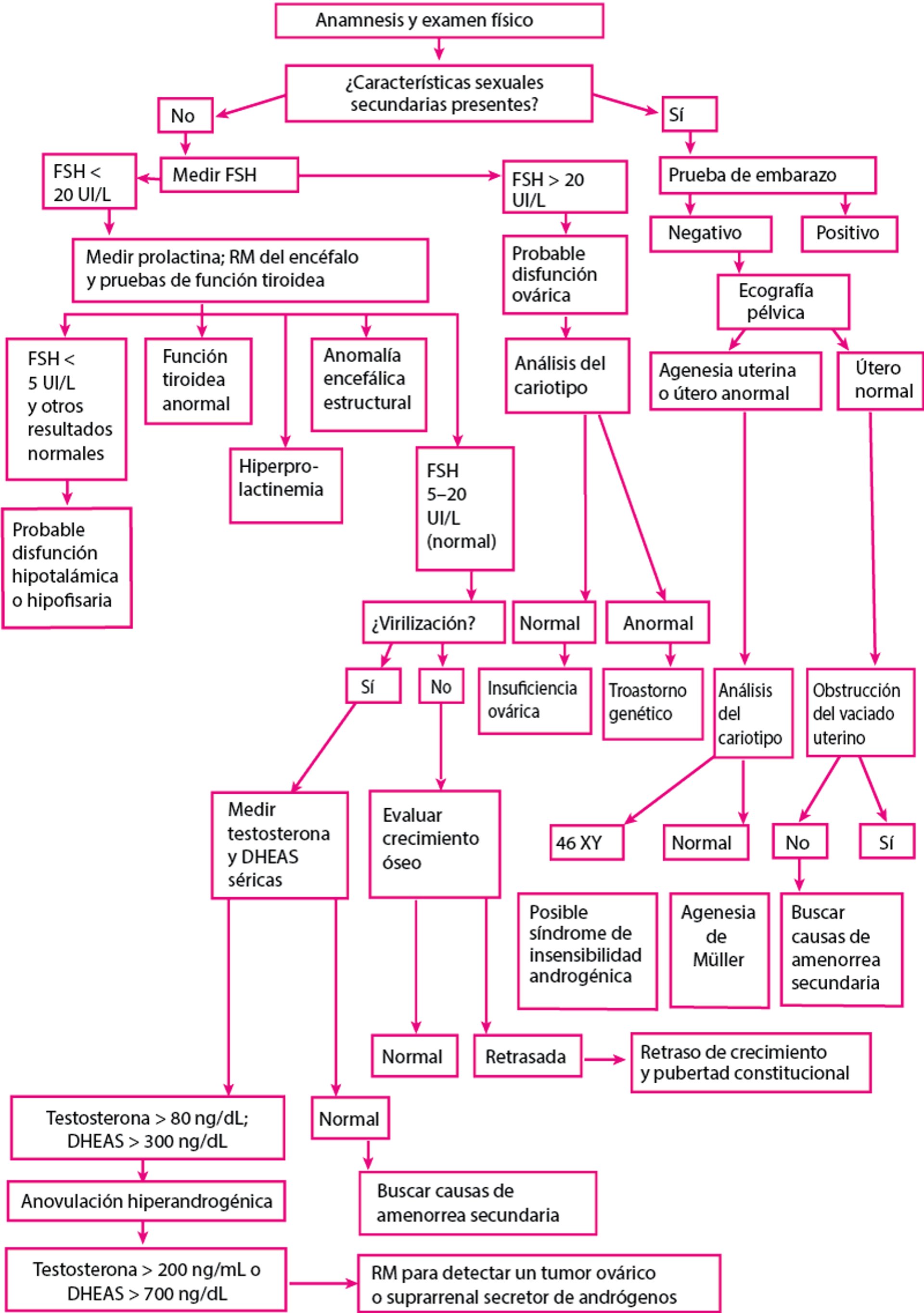 Evaluación de la amenorrea primaria [a]