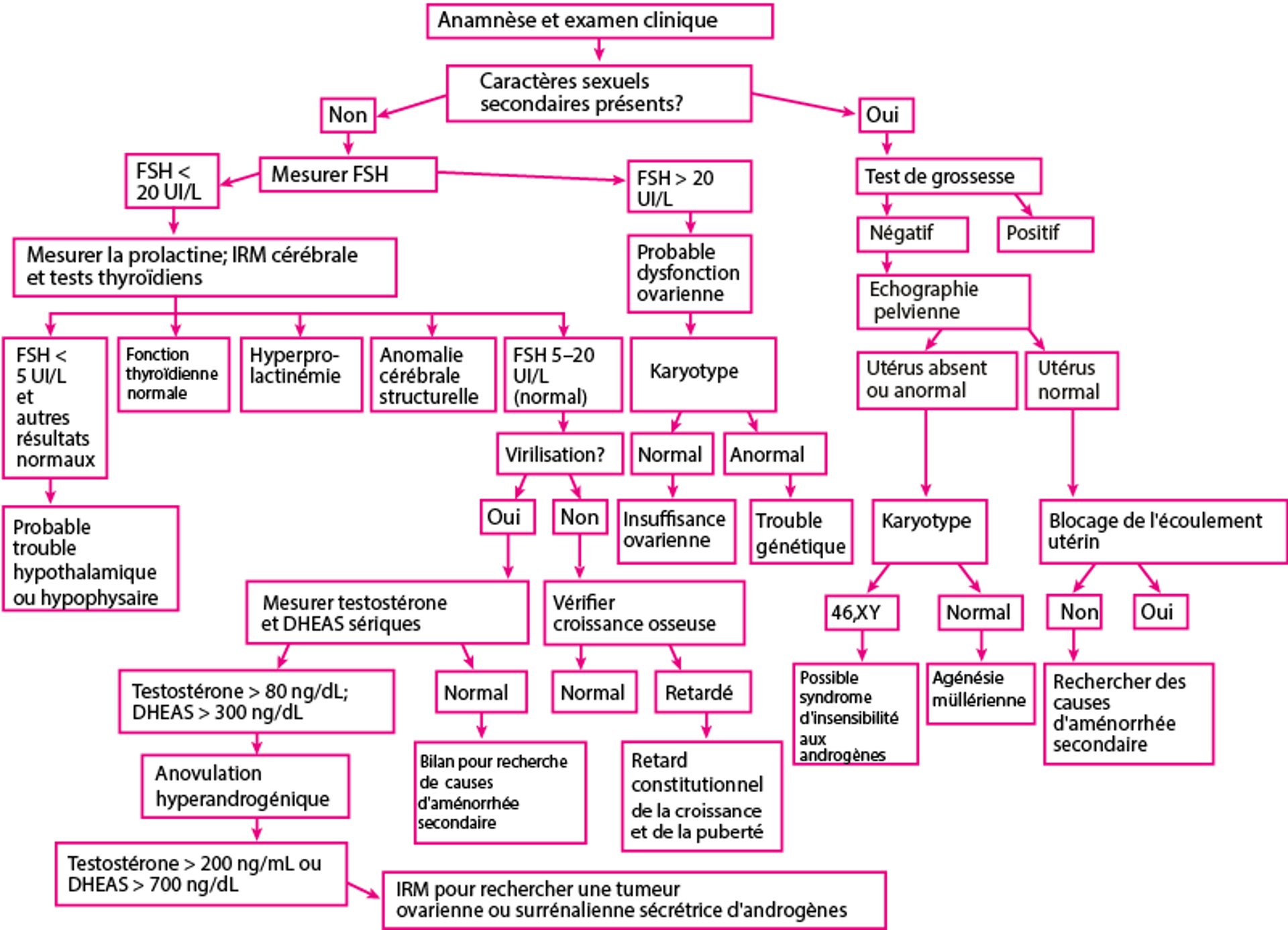 Évaluation d'une aménorrhée primitive [a]