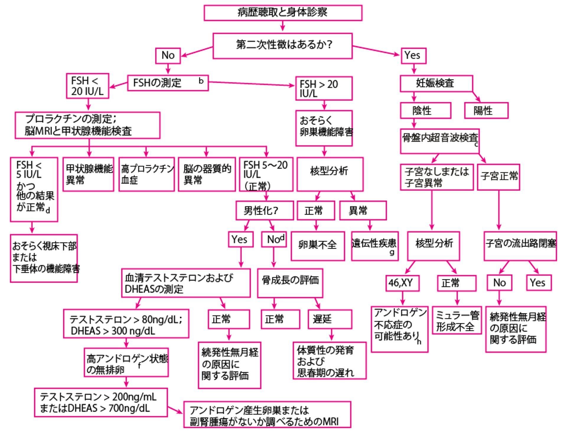 原発性無月経の評価［a］