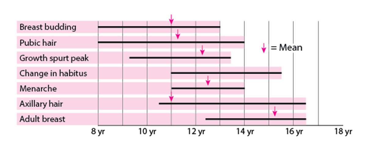 Puberty—When Female Sexual Characteristics Develop