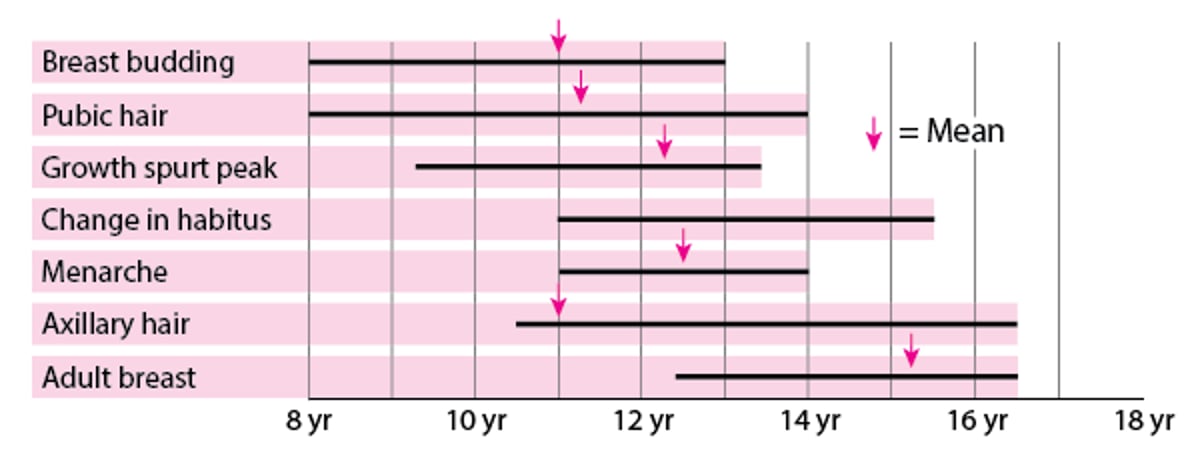 Pubertad: cuando se desarrollan las características sexuales femeninas