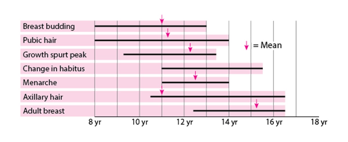 Puberté: développement des caractéristiques sexuelles féminines