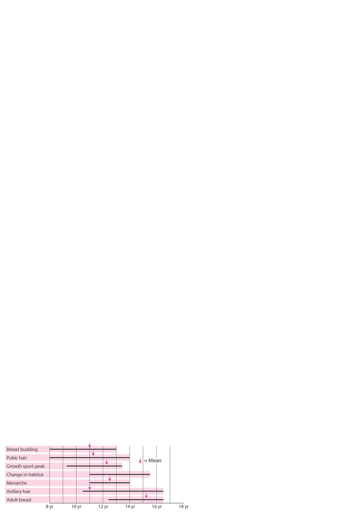 Pubertà, quando si sviluppano le caratteristiche sessuali femminili