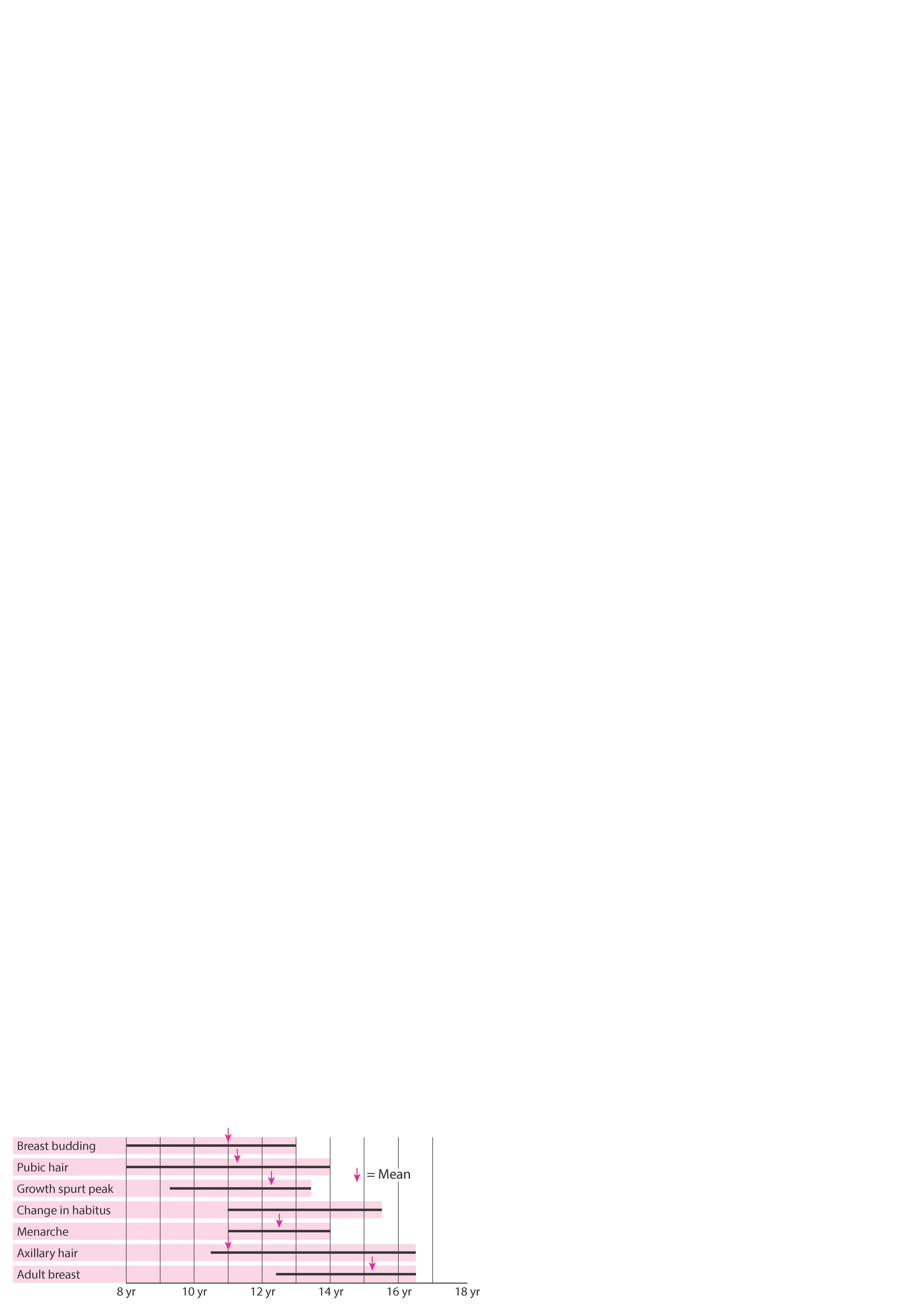 Пубертатный период - период развития женских половых признаков