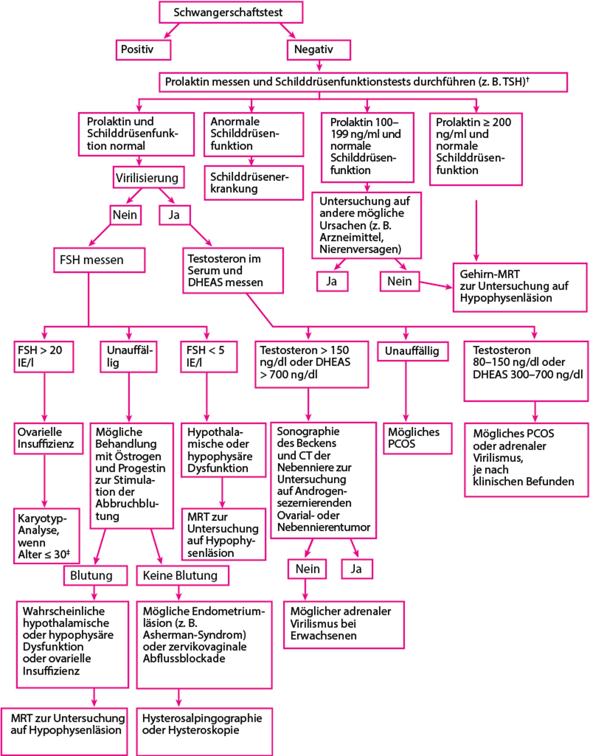 Untersuchung der sekundären Amenorrhö*