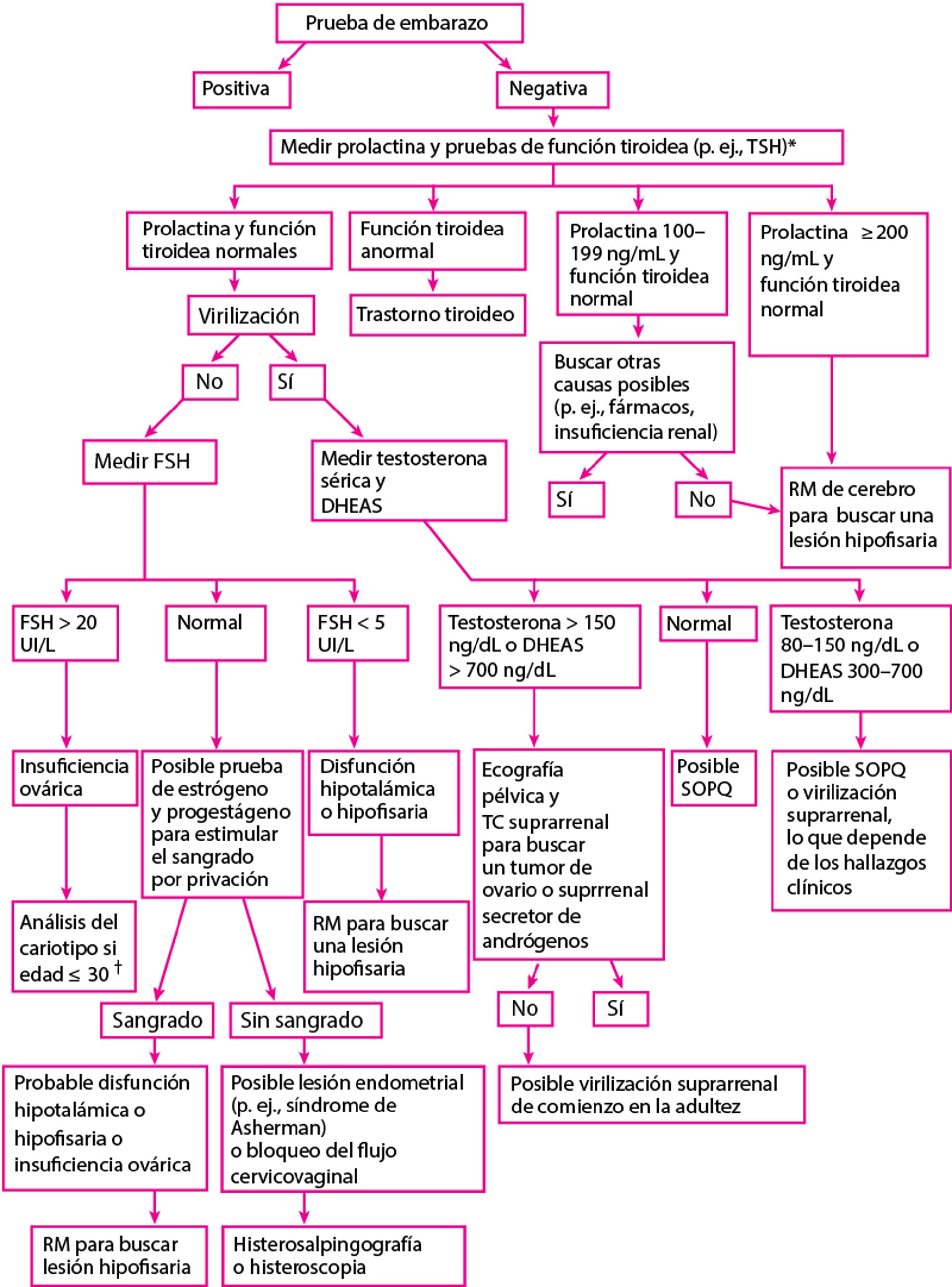 Evaluación de la amenorrea secundaria*