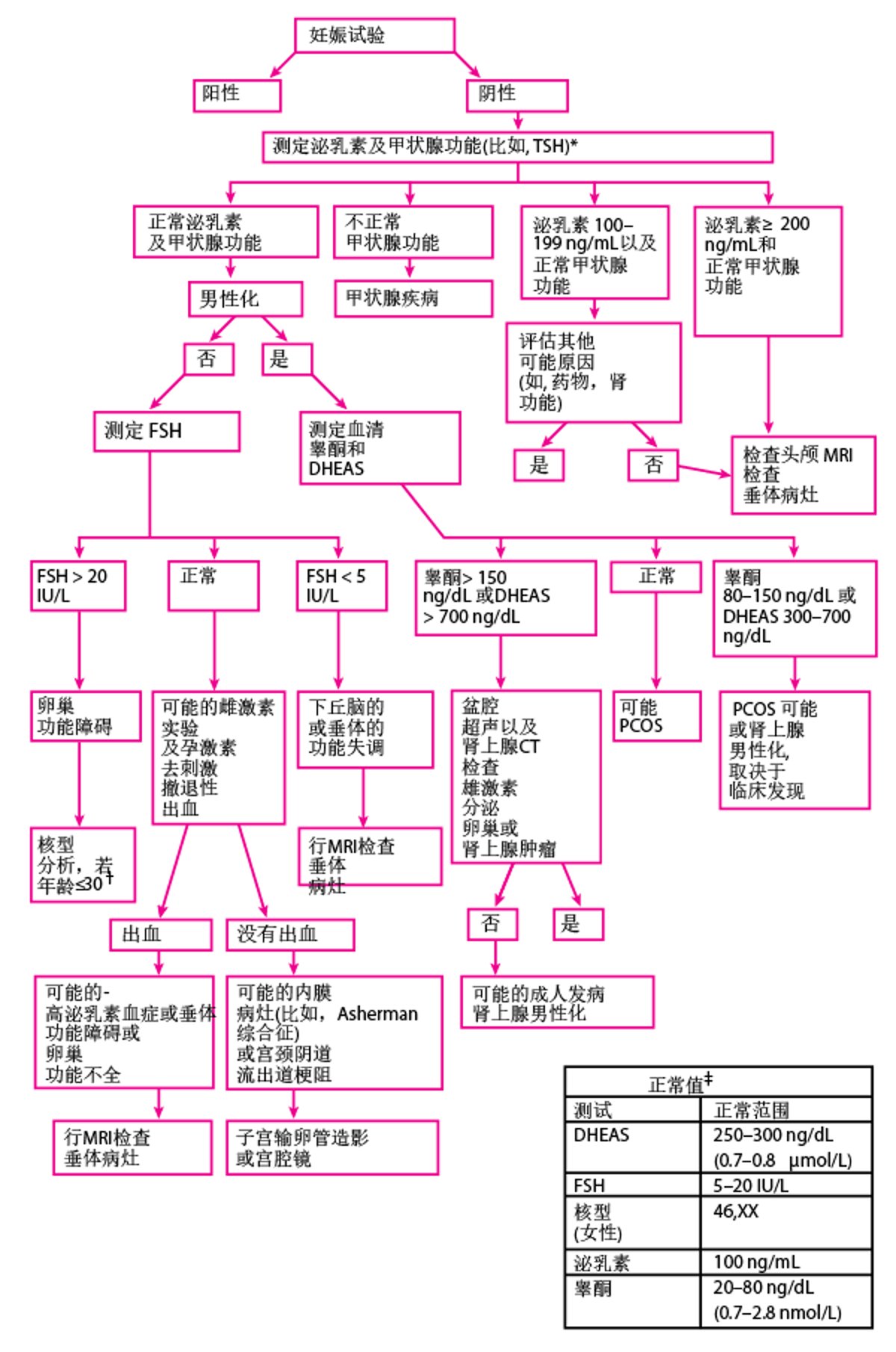 继发闭经的评估*