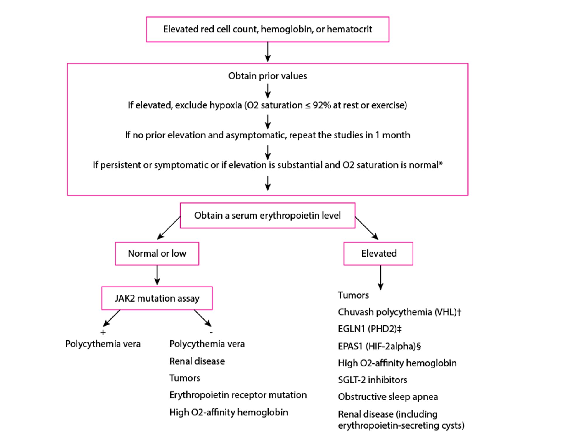 Algorithm for the Diagnosis of Erythrocytosis