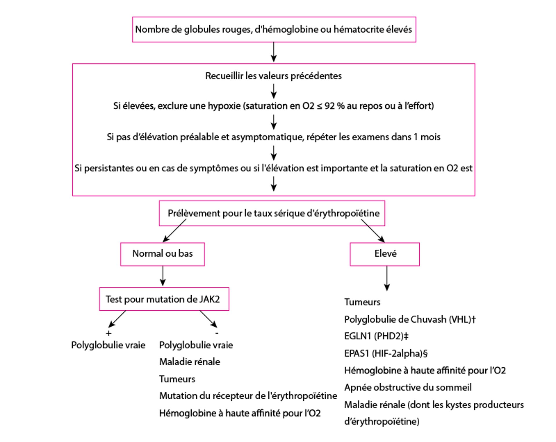 Algorithme pour le diagnostic de l'érythrocytose
