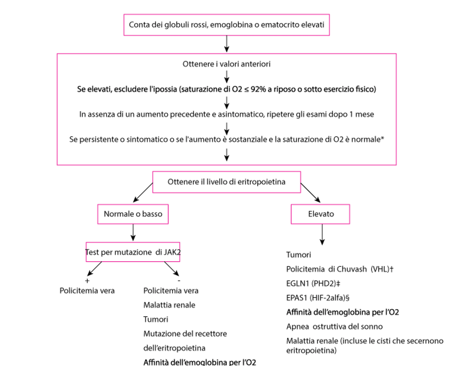 Algoritmo per la diagnosi dell'eritrocitosi