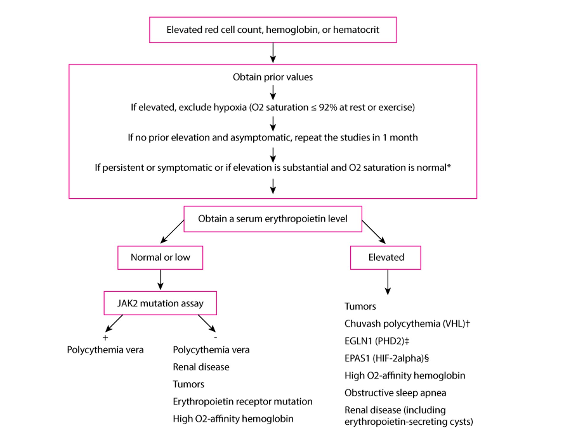 Algorithmus für die Diagnose der Erythrozytose