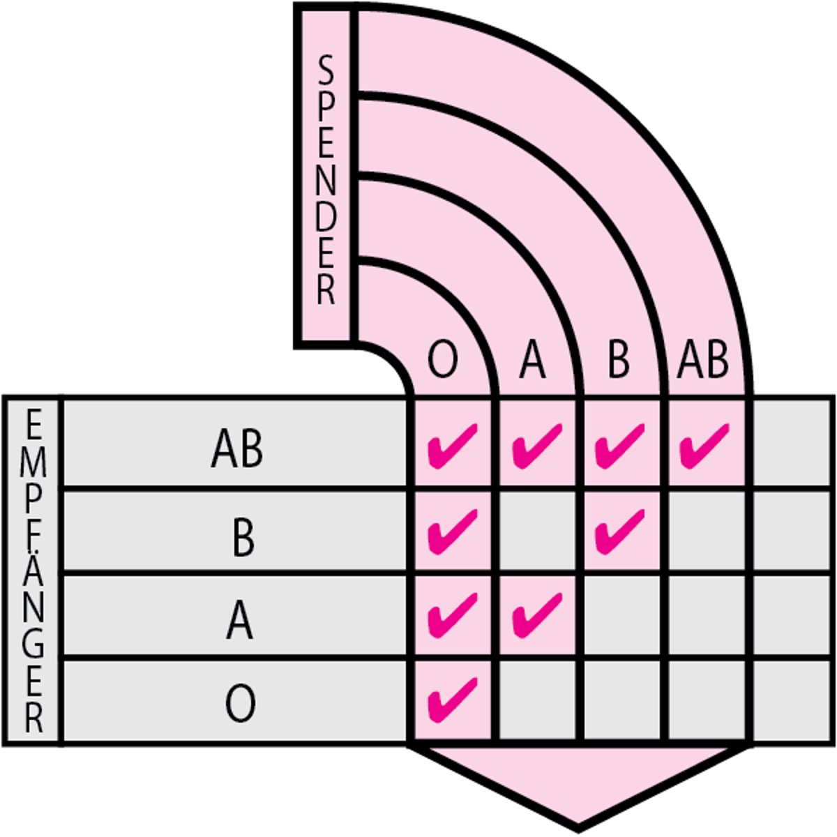 Kompatible Erythrozytentypen