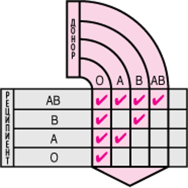 Совместимые типы эритроцитов