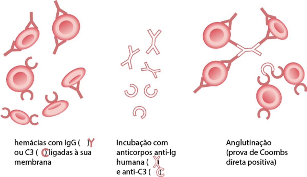 Teste direto da antiglobulina (Coombs direto)
