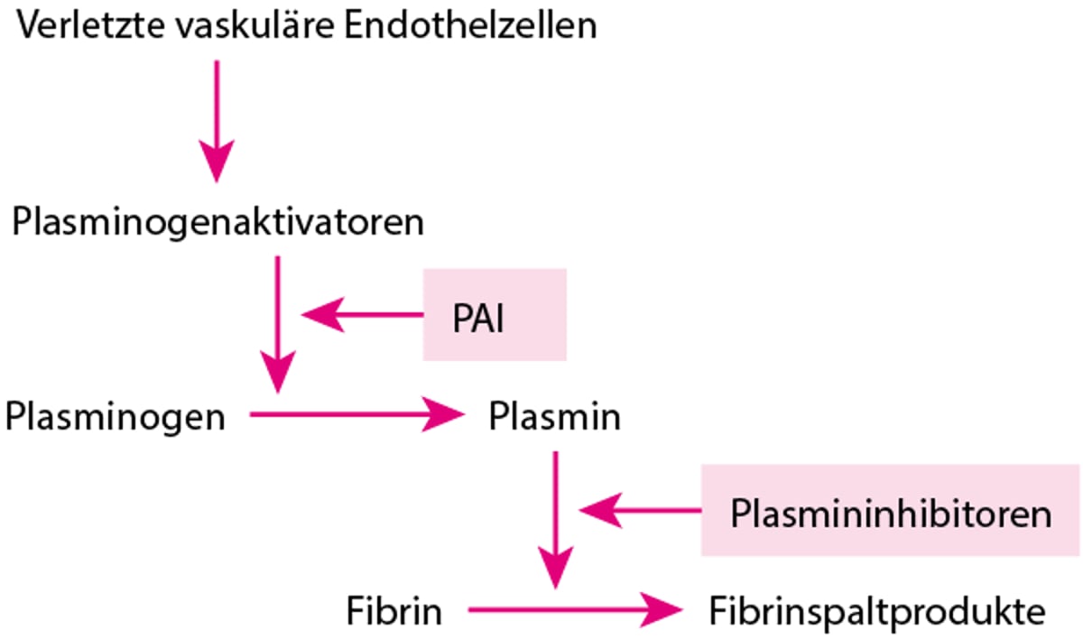 Fibrinolytischer Verlauf