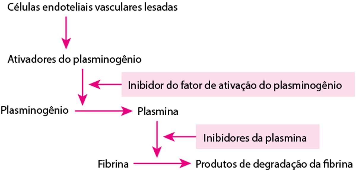 Via fibrinolítica