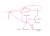 Pathways in Blood Coagulation