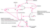 Anticoagulants et leurs sites d'action