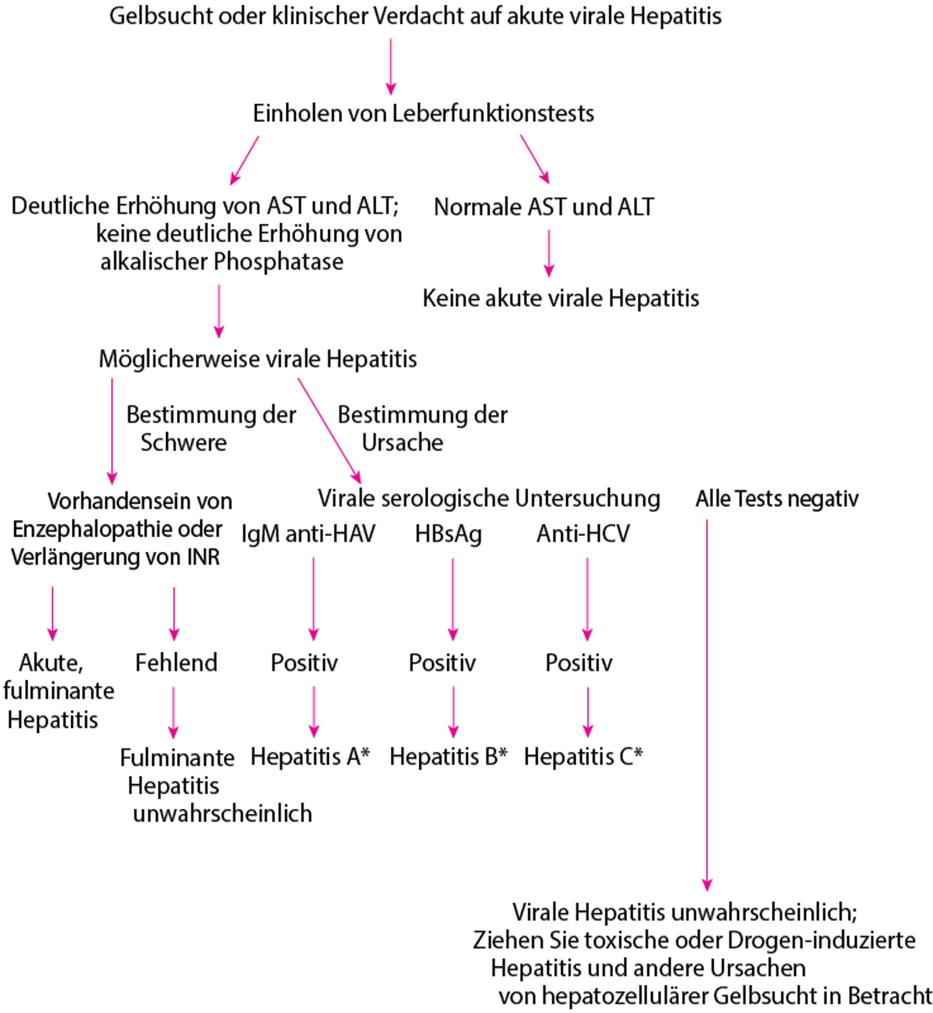 Vereinfachter diagnostischer Ansatz bei potenzieller akuter Virushepatitis