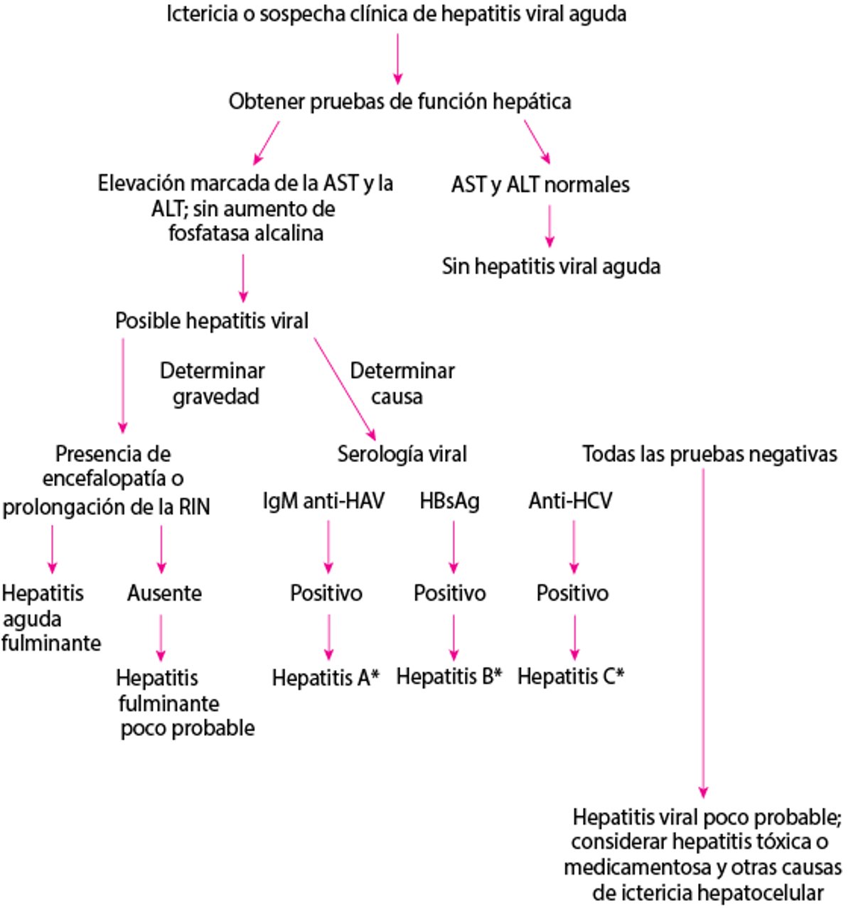 Aproximación diagnóstica simplificada a las posibles hepatitis virales agudas
