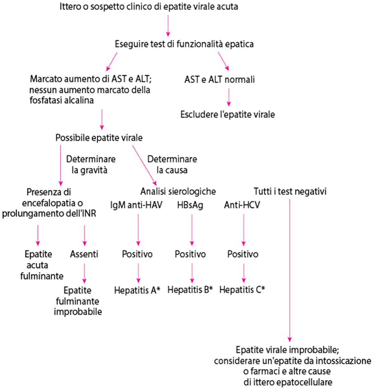 Approccio diagnostico semplificato a una possibile epatite virale acuta