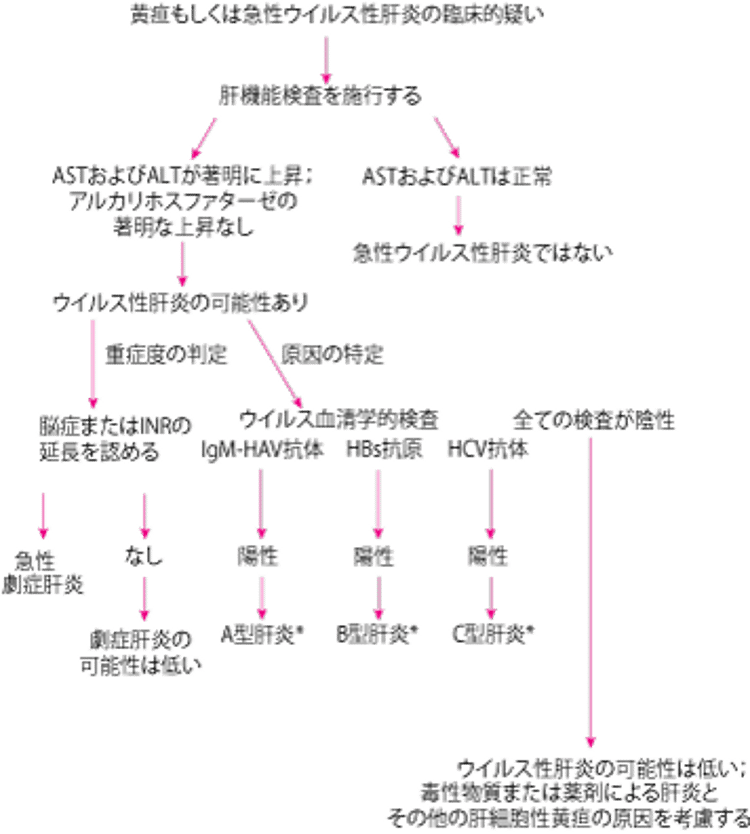 急性ウイルス性肝炎に対する診断アプローチの簡略図