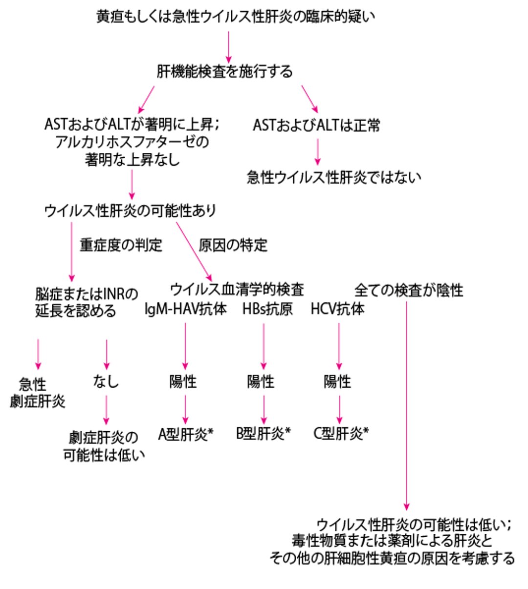 急性ウイルス性肝炎に対する診断アプローチの簡略図