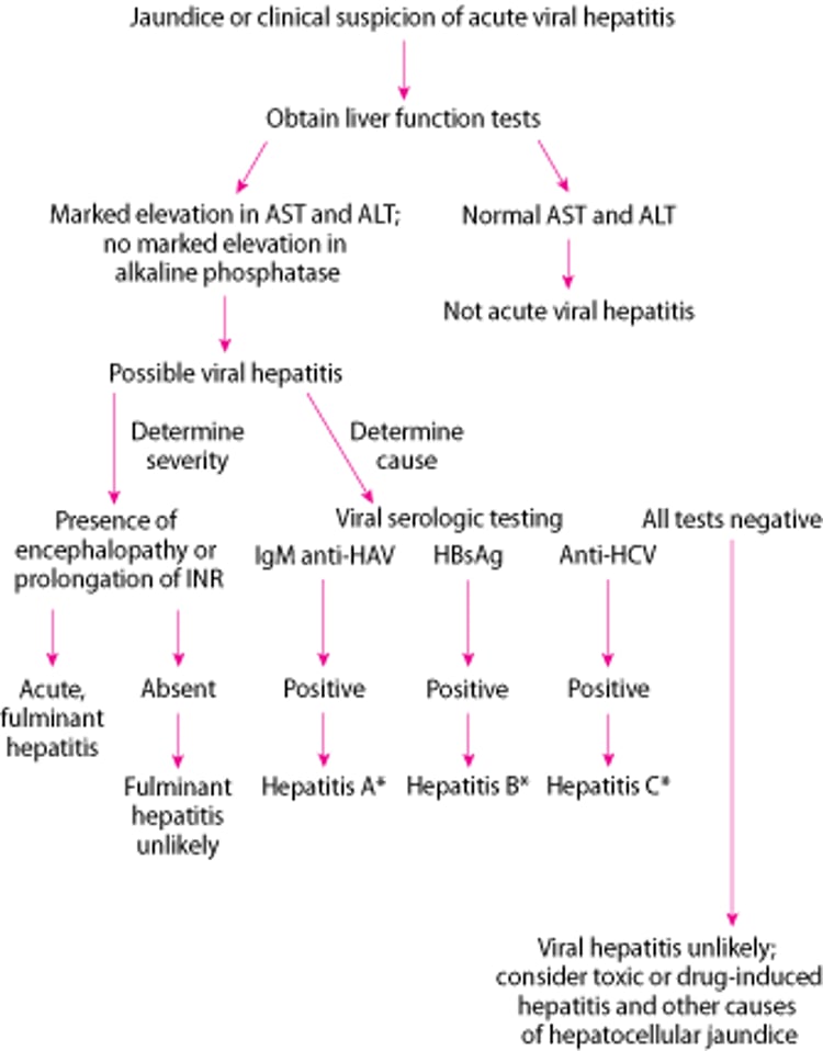 Упрощенный диагностический подход к возможному острому вирусному гепатиту.