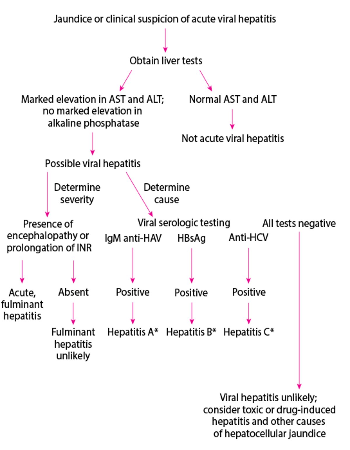 Simplified Diagnostic Approach to Possible Acute Viral Hepatitis