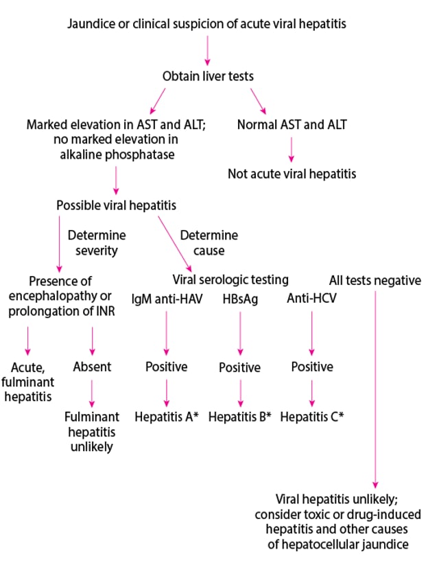Overview of Acute Viral Hepatitis - Hepatic and Biliary Disorders ...