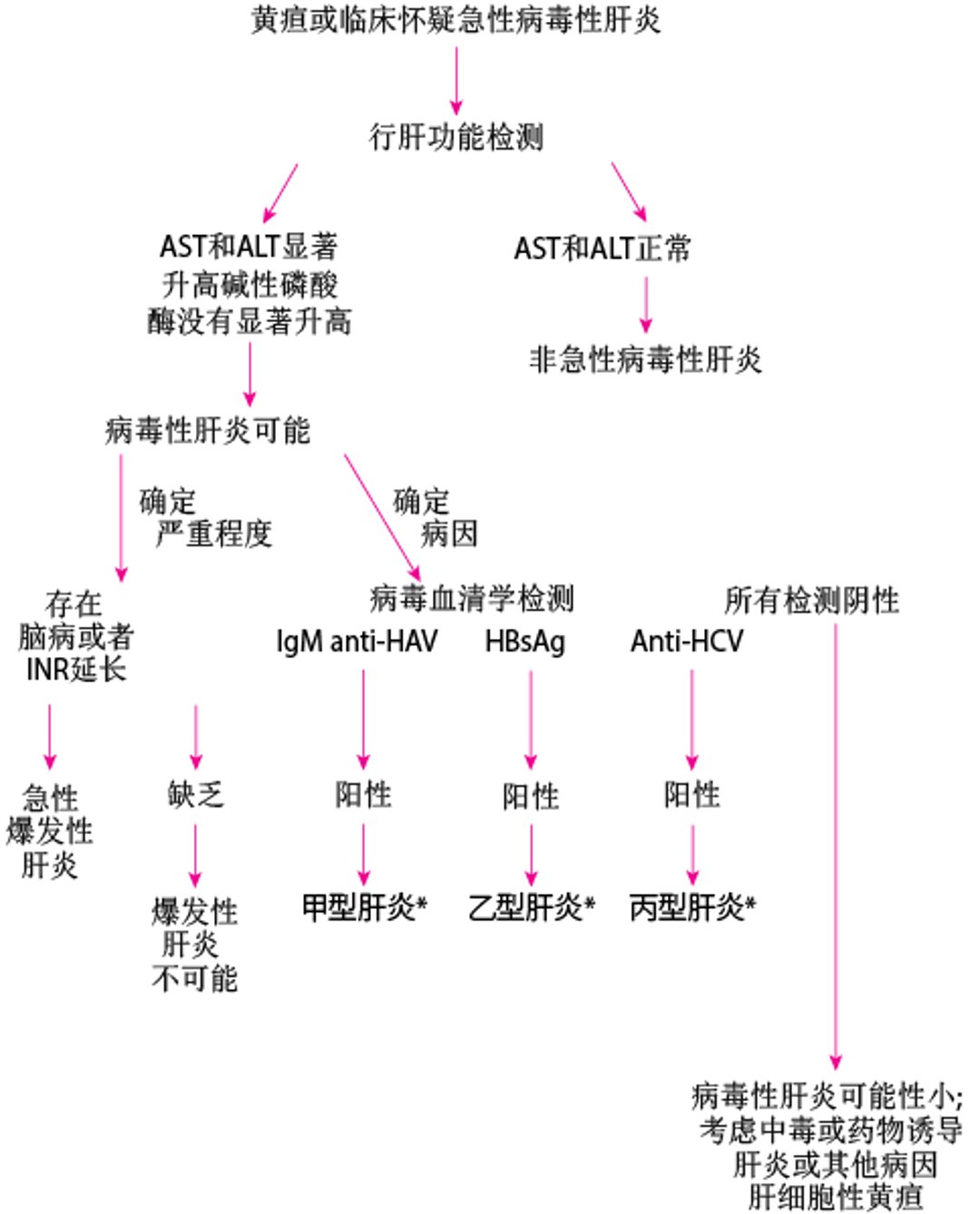 急性病毒性肝炎简易诊断流程