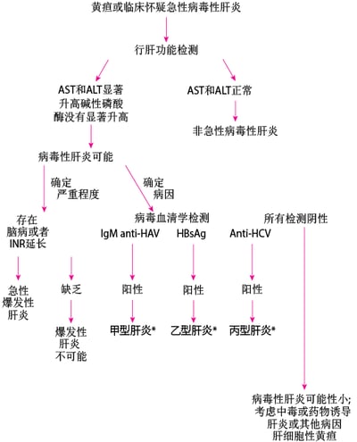 急性病毒性肝炎简易诊断流程