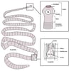 Representative Structure of a Tapeworm, Based on Taenia solium