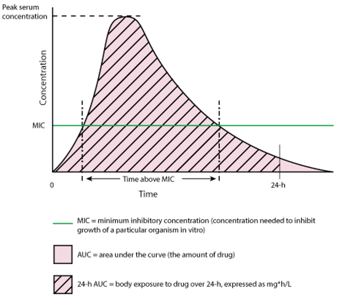 Time vs Concentration of a Single Dose of a Theoretical Antibiotic