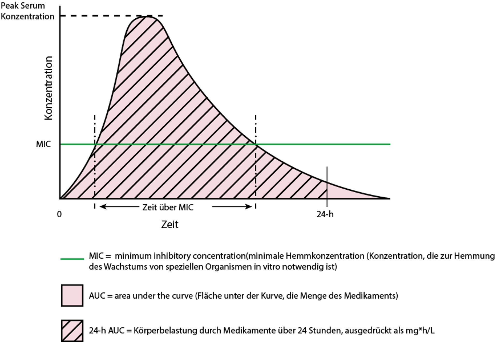 Zeit vs. Konzentration einer Einzeldosis eines theoretischen Antibiotikums