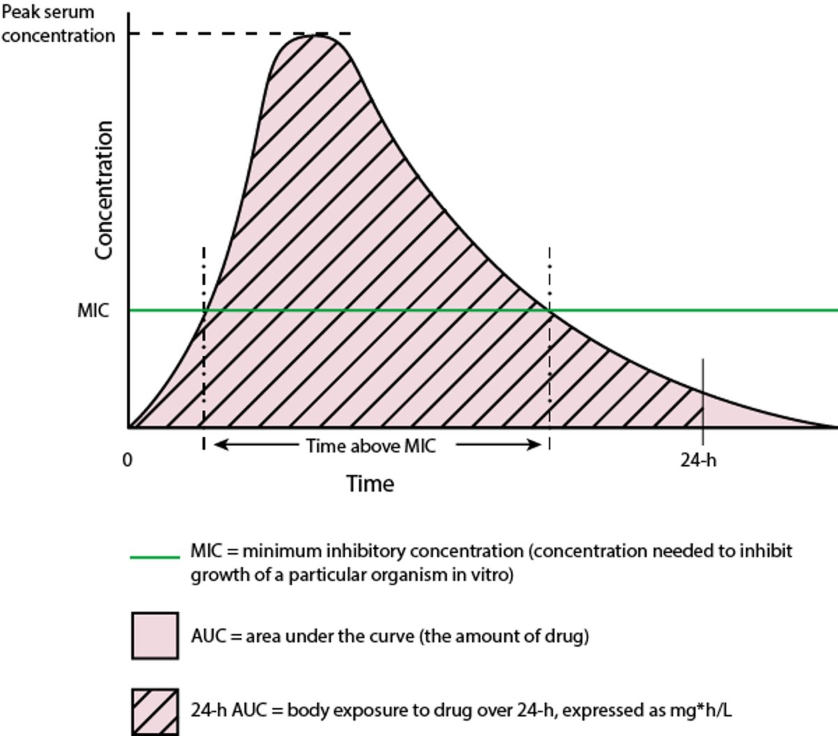 Tempo versus concentrazione di una singola dose di un antibiotico teorico
