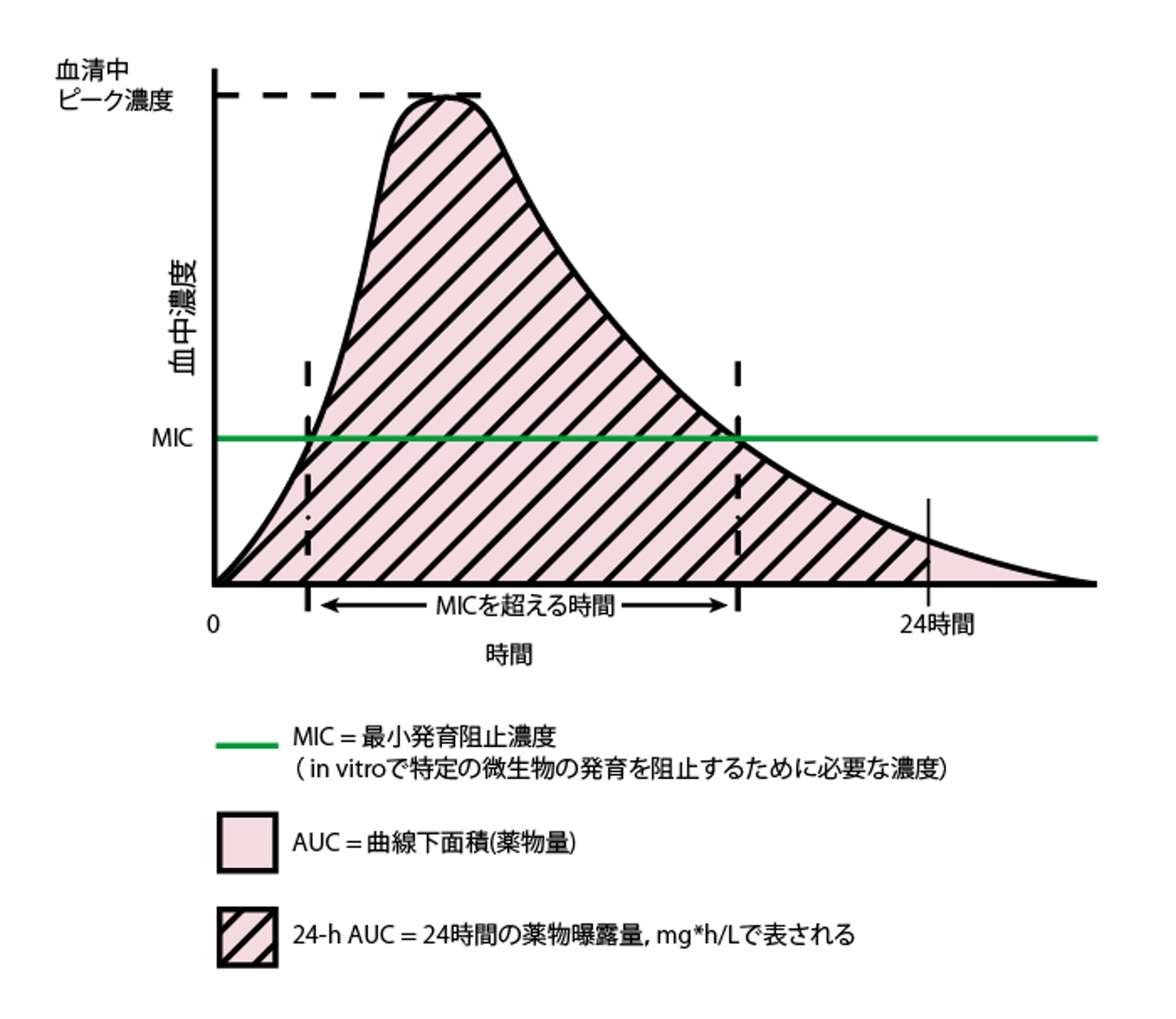 仮想的に抗菌薬を単回投与したときの時間と濃度の関係