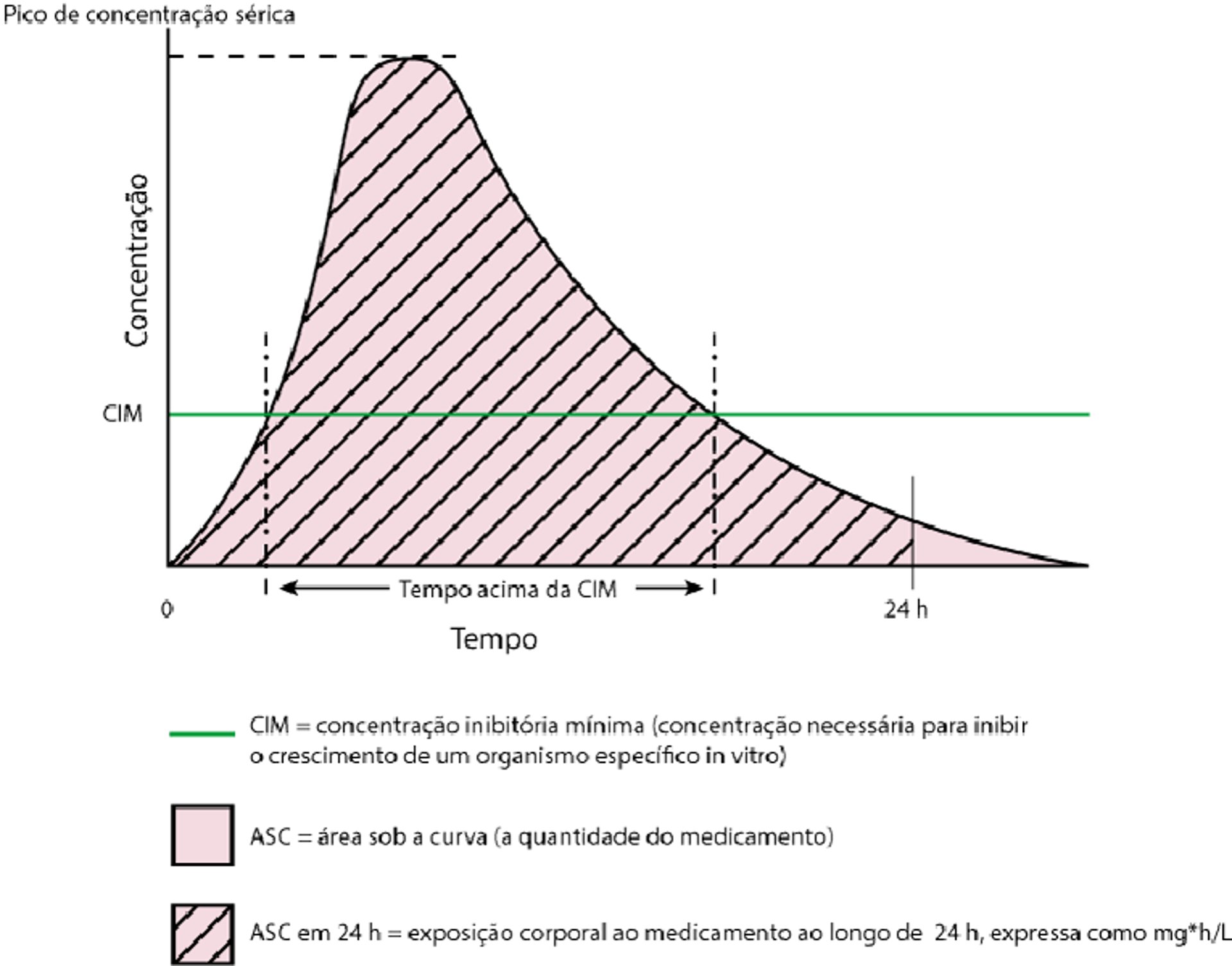 Tempo versus concentração de uma única dose de um antibiótico teórico