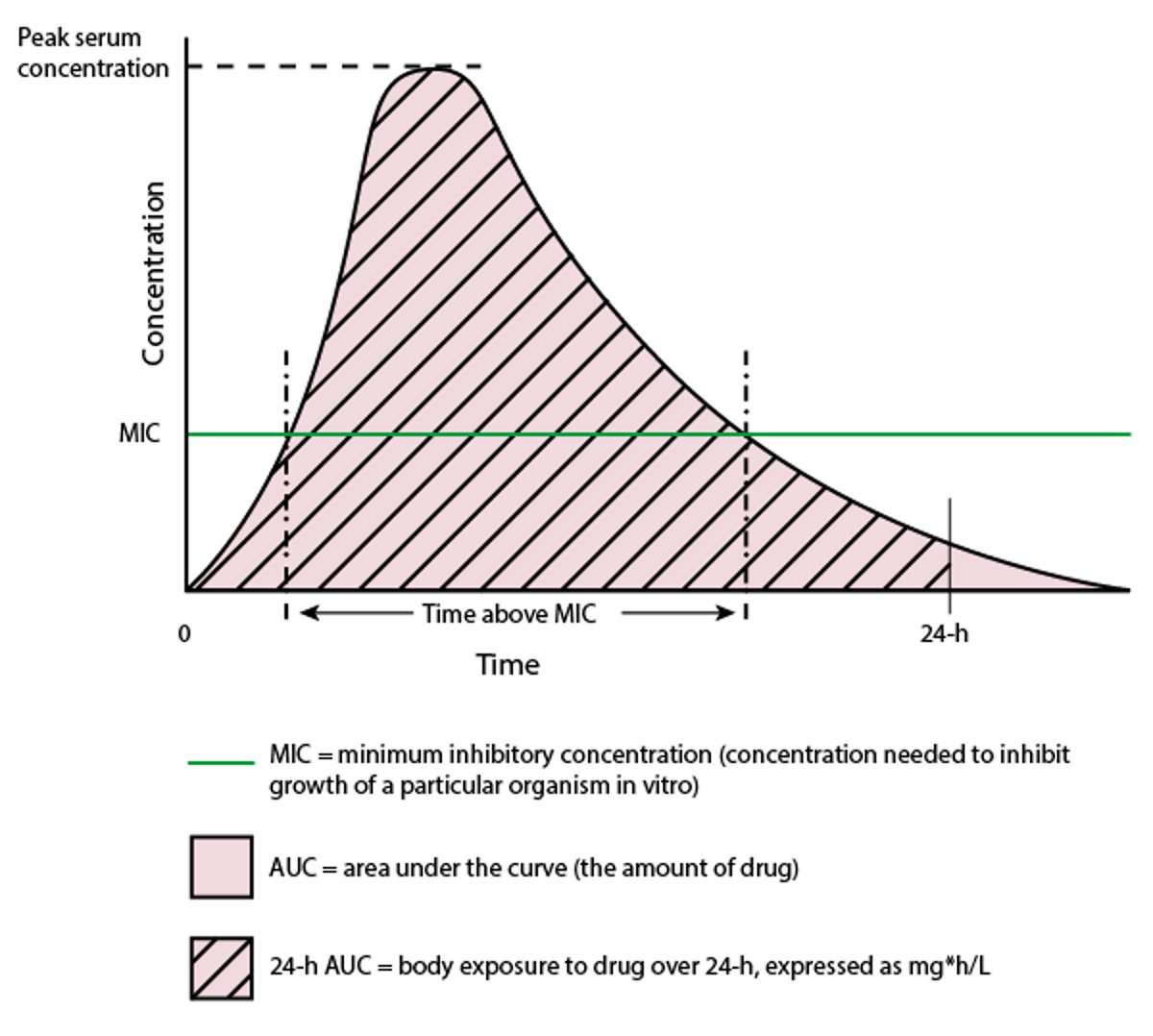 时间与单剂理论抗生素浓度的关系