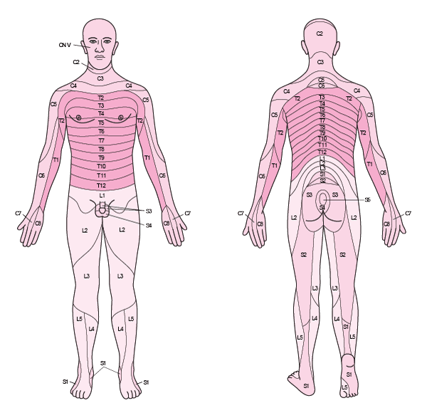 How To Assess Sensation - Neurologic Disorders - Merck Manual ...